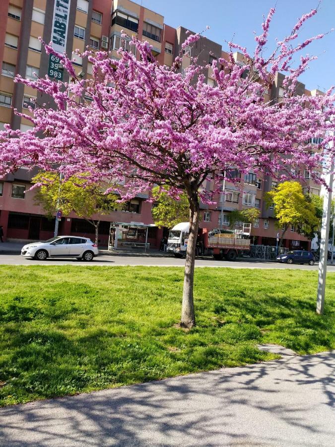 Apartment Grand Via Аликанте Экстерьер фото